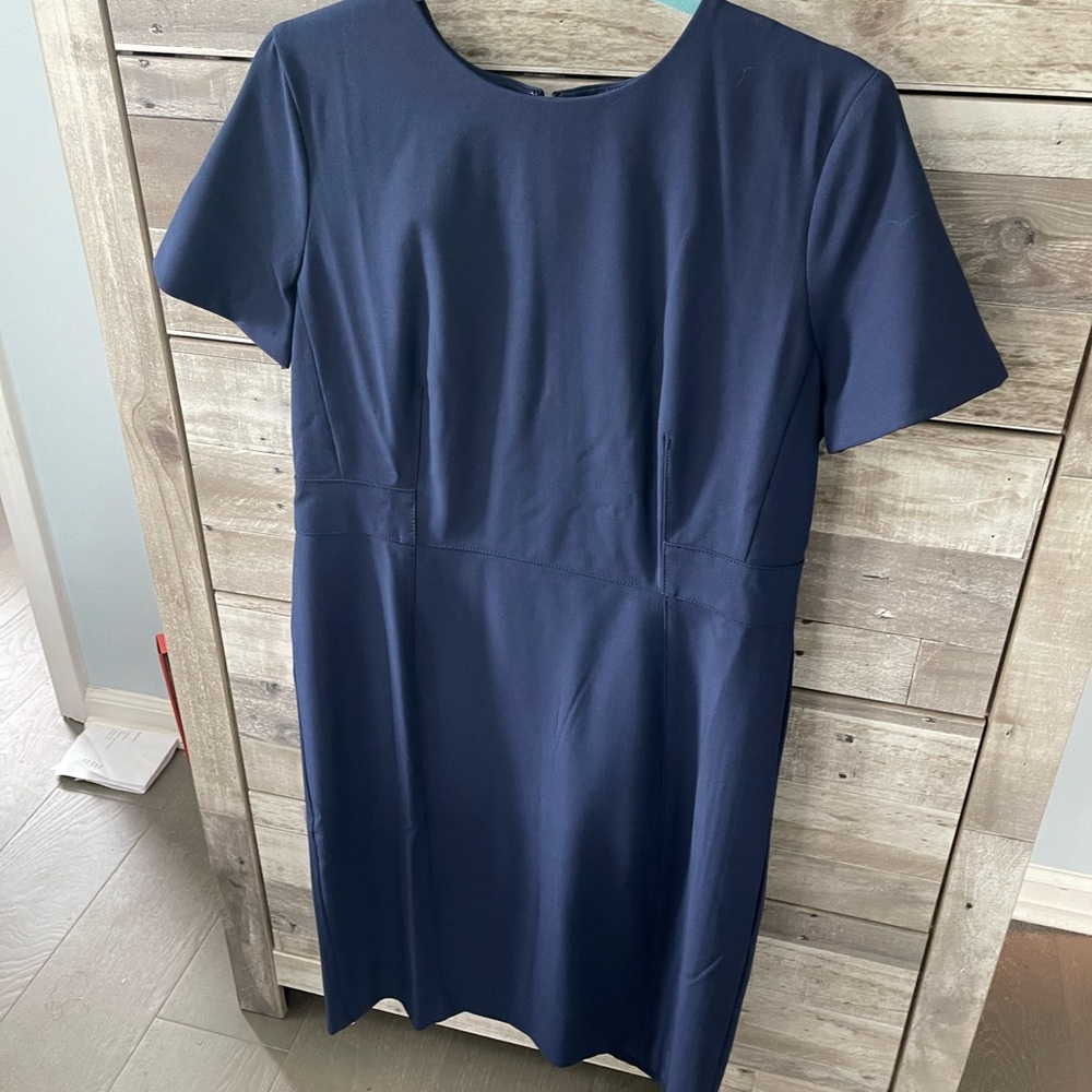 Ann Taylor Dress sz 12P